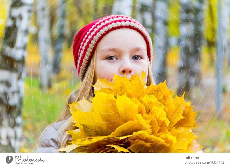 Foto von Mädchen mit Blumenstrauß von den Blättern Kräuter & Gewürze Kind Schulkind Frau Erwachsene Kindheit 1 Mensch 3-8 Jahre 8-13 Jahre Pflanze Herbst Blatt