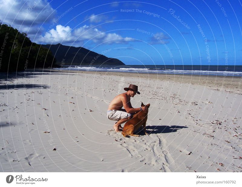 Dog's Beach Hund Himmel Strand Mensch Australien Sand Hut blau Urwald Wellen Ferien & Urlaub & Reisen Wolken Berge u. Gebirge Sommer