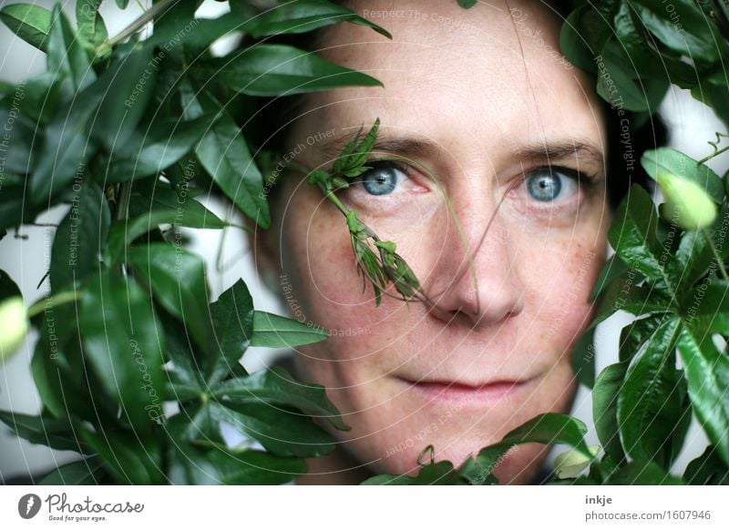 Rund | Durchblick Lifestyle Stil schön Frau Erwachsene Leben Gesicht 1 Mensch 30-45 Jahre Pflanze Blatt Grünpflanze exotisch Passionsblume Kranz Ranke