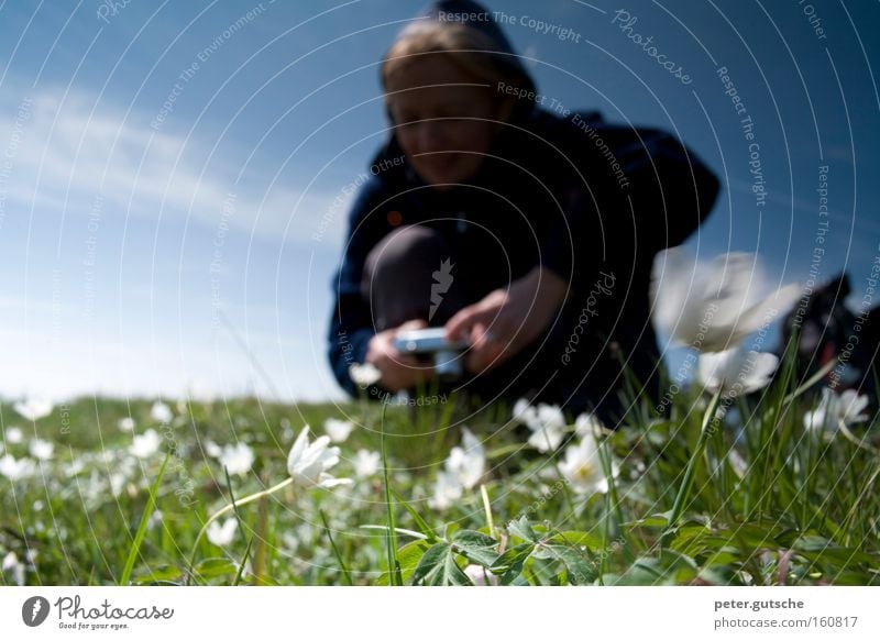 Blumen fotografieren Frau Fotografieren Fotokamera Wiese Natur Begeisterung Technik & Technologie Versuch Interesse Himmel blau Frühling Junge Frau Unschärfe