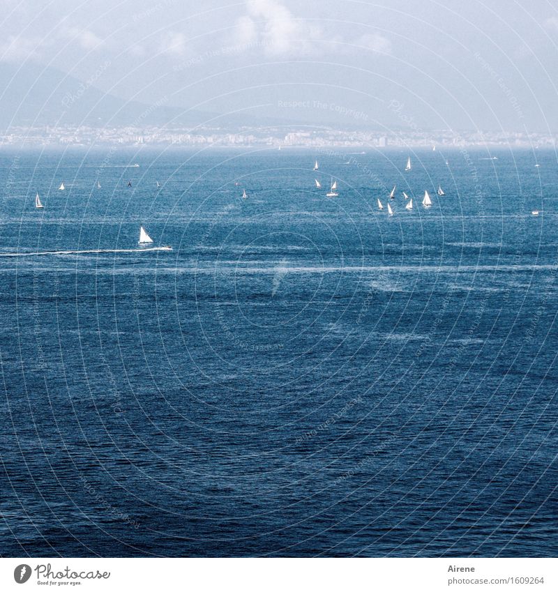 viele segeln Freizeit & Hobby Ferien & Urlaub & Reisen Tourismus Sommer Sommerurlaub Meer Wassersport Segeln Himmel Vulkan Vesuv Golf von Neapel Segelboot