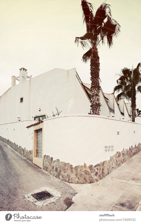 Vor der Mauer, bei dem kleinen Tor … Architektur Sommer Schönes Wetter Wärme Pflanze Palme Dorf Menschenleer Haus Einfamilienhaus Wand Tür Schornstein