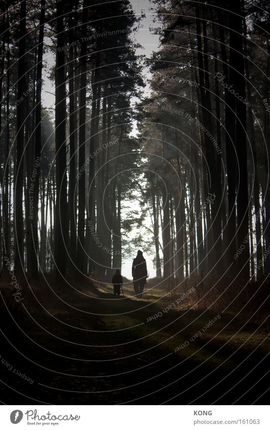 wandertag mit casper david wandern Wald Ausflug mystisch Licht & Schatten Stimmung Dämmerung Spiritualität gehen Spaziergang verwandeln Romantik