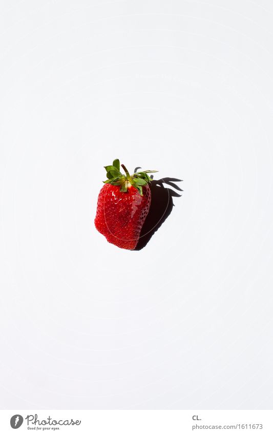 was zur verfügung stand / erdbeere Lebensmittel Frucht Erdbeeren Ernährung Essen Bioprodukte Vegetarische Ernährung Diät Fasten Gesunde Ernährung ästhetisch