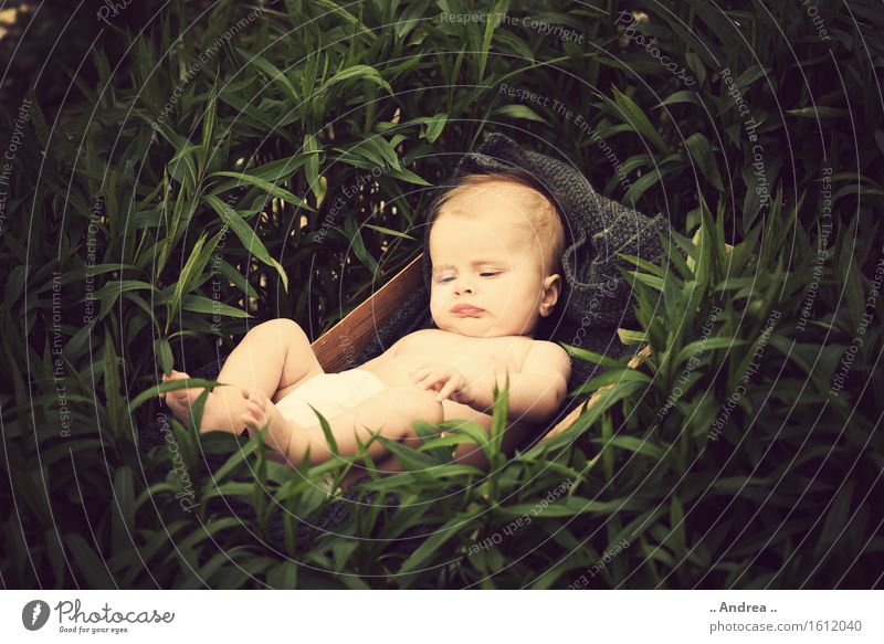 Träumerei im Grünen feminin Kind Baby Kindheit 1 Mensch 0-12 Monate genießen liegen schlafen träumen Glück klein nackt natürlich Neugier braun grün Gefühle