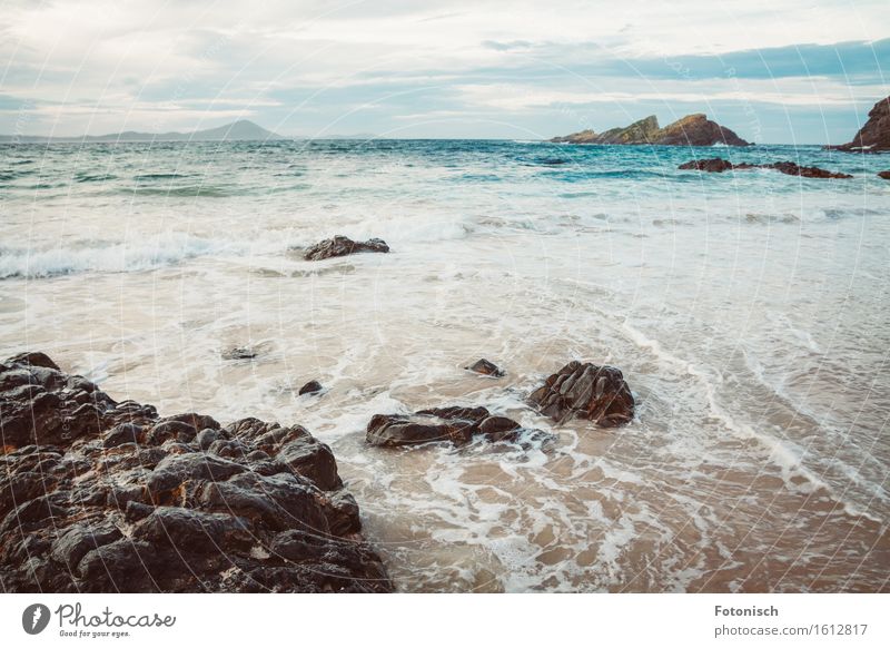 Tasmanische See Erde Wasser Felsen Wellen Küste Meer Erholung Ferien & Urlaub & Reisen Tourismus Umwelt Stein Strand Farbfoto Außenaufnahme Detailaufnahme