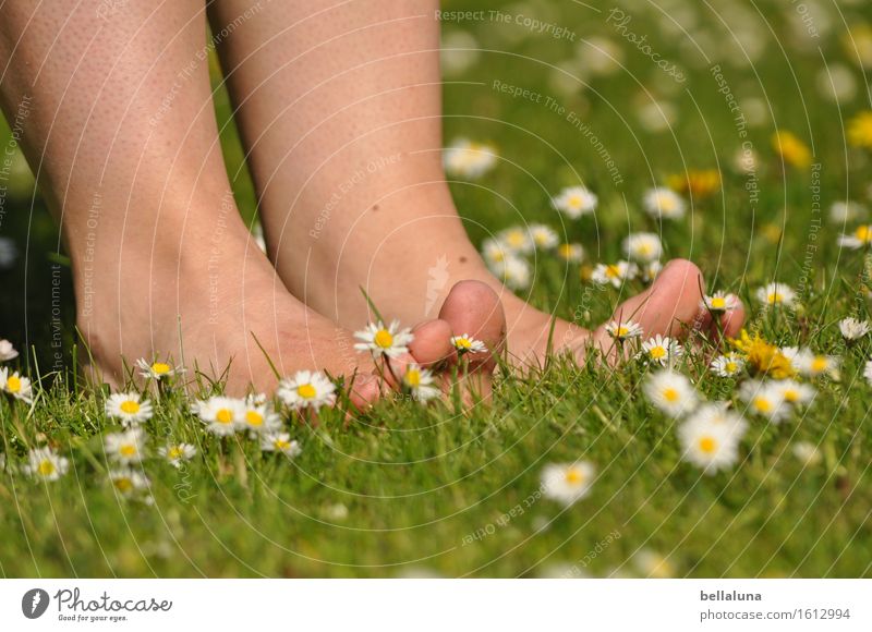 Frühling - ich wär dann soweit! Picknick Mensch feminin Junge Frau Jugendliche Erwachsene Leben Beine Fuß 1 13-18 Jahre 18-30 Jahre 30-45 Jahre Natur Pflanze