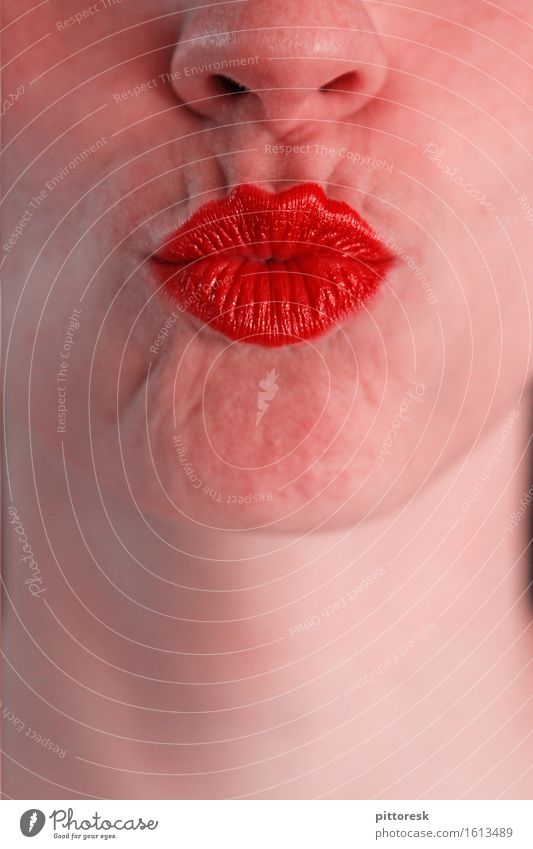Kussmundsie Kunst ästhetisch Nahaufnahme Intimität Küssen rot Nase Gesicht feminin schön Liebe Liebesbekundung Liebesgruß Lippen Lippenstift Lippenpflege