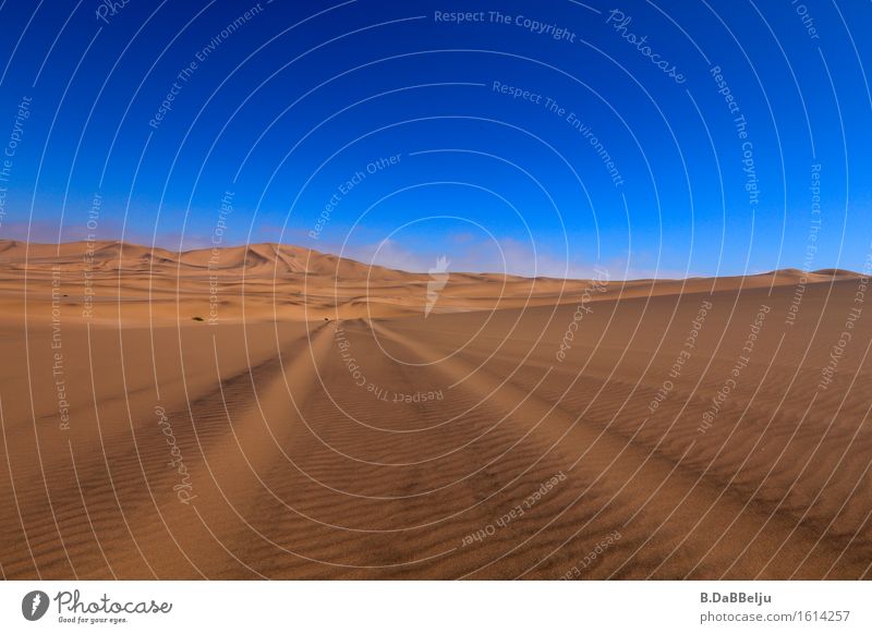 Spuren Ferien & Urlaub & Reisen Abenteuer Ferne Freiheit Safari Expedition Landschaft Sand Himmel Horizont Wärme Dürre Hügel Wüste ästhetisch exotisch blau