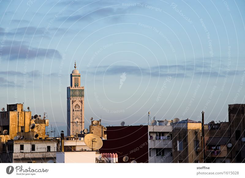 Arabian Dream IV Schönes Wetter Religion & Glaube Marokko Orient Arabien arabisch Urlaub Tourismus Casablanca Moschee Minarett Sonnenaufgang Moschee Hassan II