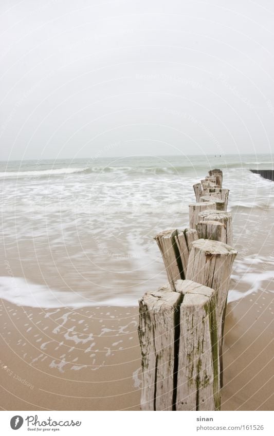 Zeeland Nordseestrand Strand Wasser Meer schlechtes Wetter kalt Holz Wellen Sand nass trüb Niederlande Horizont