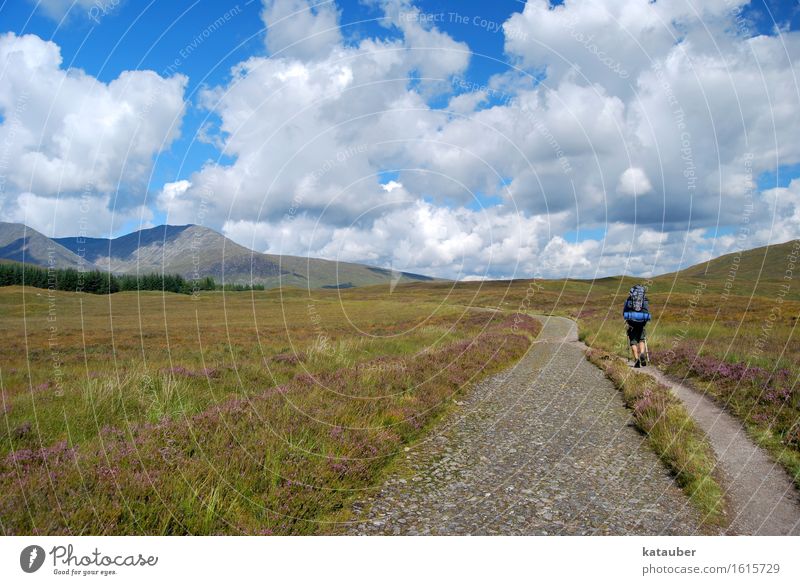 rannoch moor Natur Landschaft Himmel Wolken Schönes Wetter Wiese Hügel wandern sportlich Hoffnung Abenteuer Schottland Blauer Himmel Heidekrautgewächse