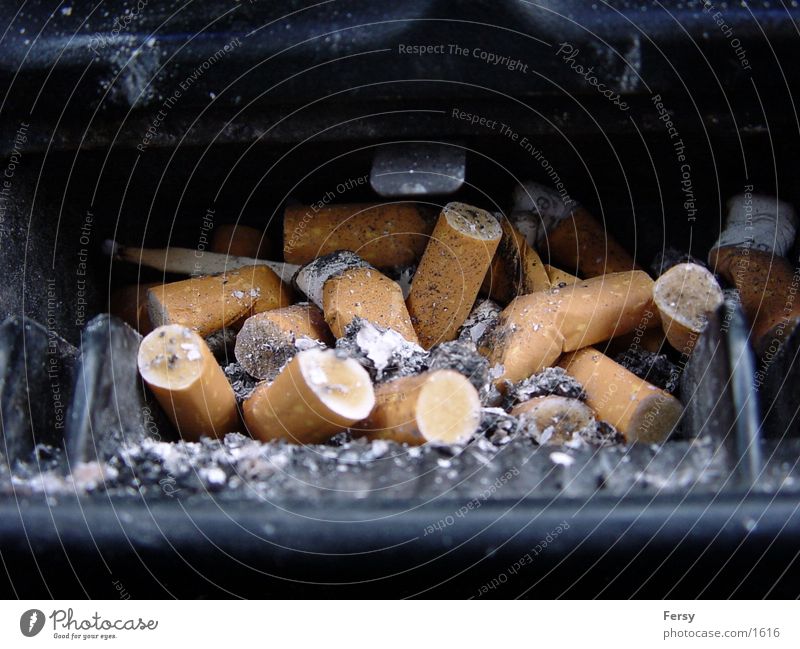 smokedesaster Nikotin Zigarette Club Rauch trashig Zigarettenstummel