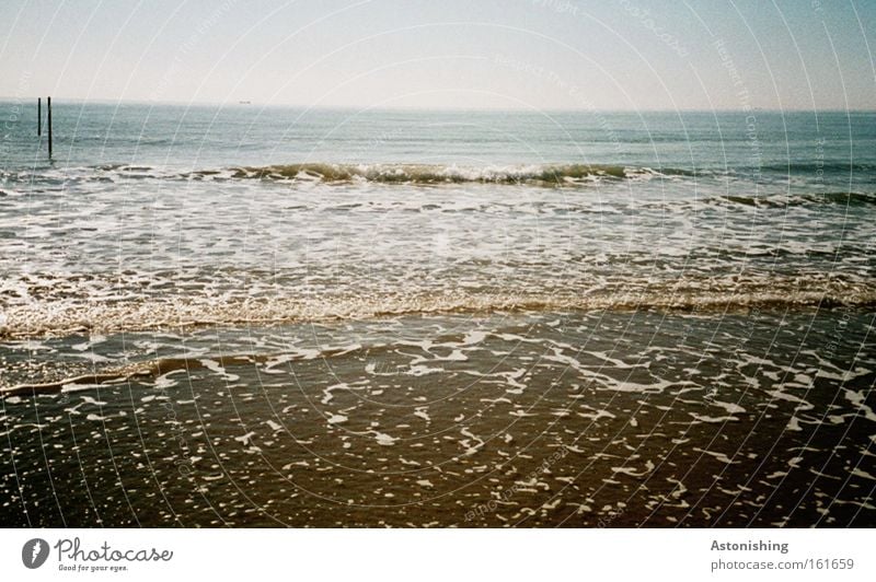 Ich will Meehr! Strand Meer Wellen Winter Sand Wasser Himmel Küste Holz kalt nass blau weiß Stock Italien Farbfoto Brandung Schaum Horizont Ferne Menschenleer