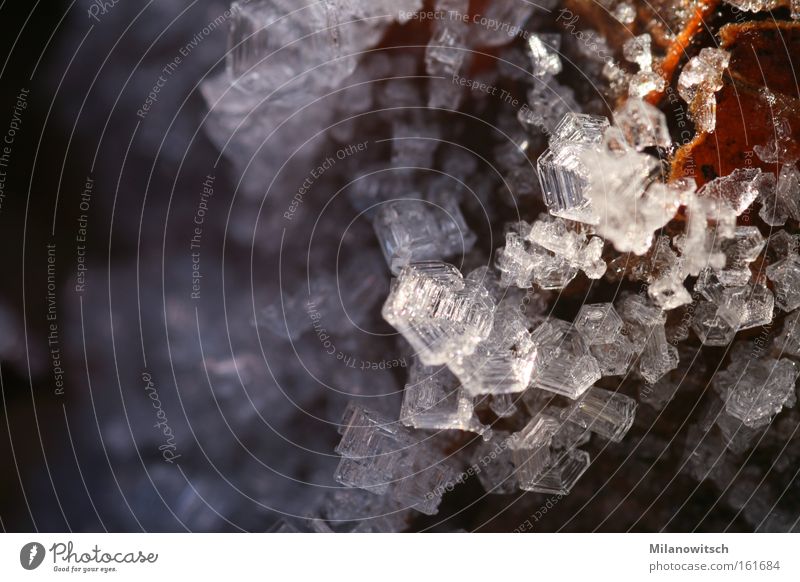 Eiskristalle Winter Schnee Natur Frost Blatt glänzend kalt Geometrie Kristallstrukturen Nahaufnahme Makroaufnahme Licht Reflexion & Spiegelung