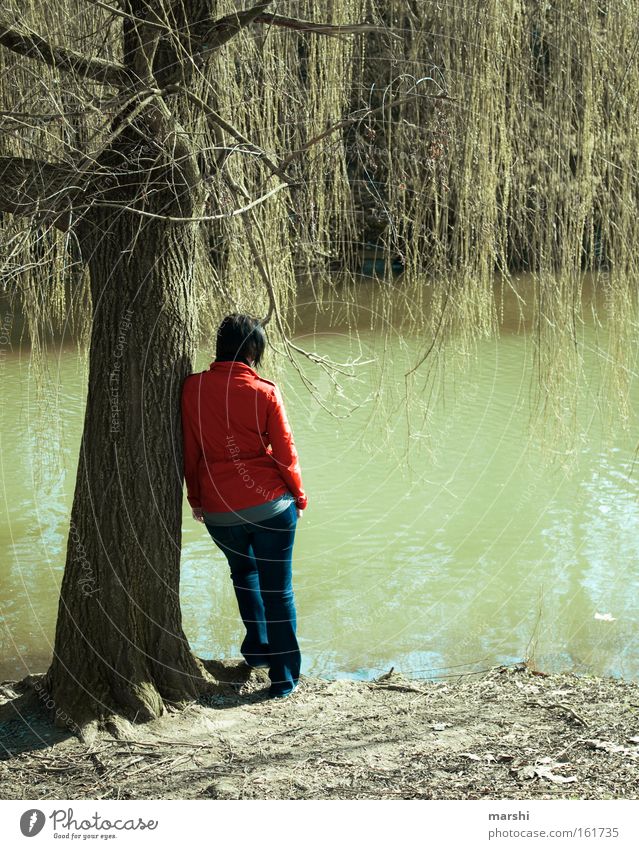 gedankenverloren See Baum Bach Sehnsucht Einsamkeit Ferne Gedanke verträumt rot grün trist Traurigkeit Gefühle Frau Jacke Trauer Verzweiflung Fluss Frühling