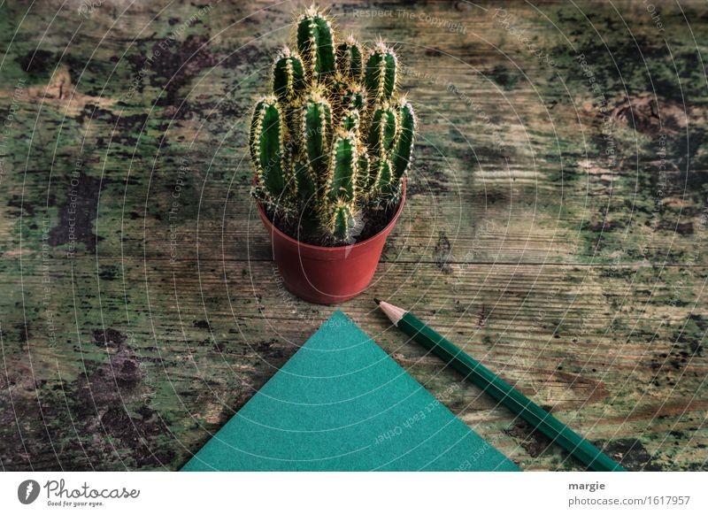 Spitzfindige Nachricht: ein Kaktus im Blumentopf und ein grüner Notizzettel mit einem Bleistift auf einem alten Holztisch lernen Beruf Büroarbeit Arbeitsplatz