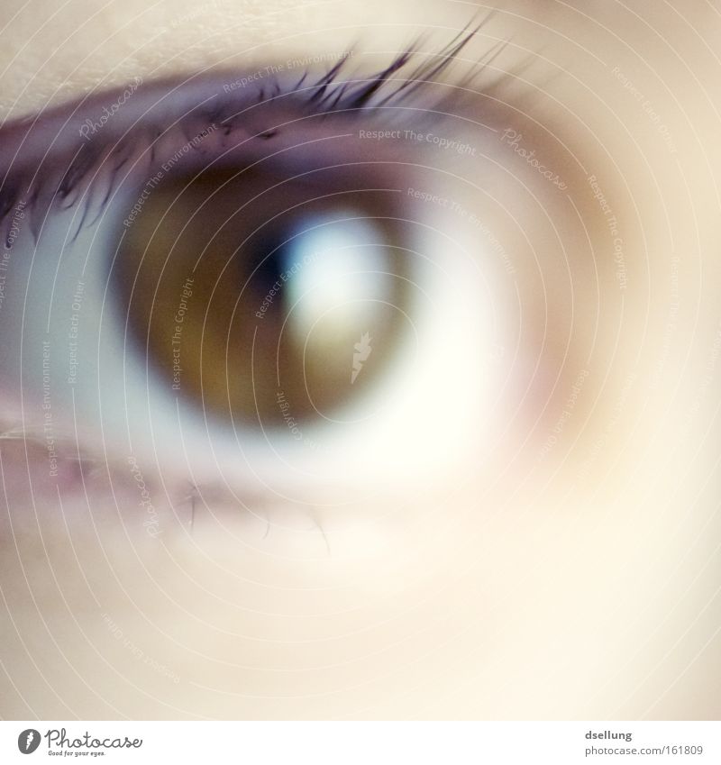 unscharfes Auge in braun einer weiblichen Person Farbfoto Nahaufnahme Detailaufnahme Makroaufnahme Textfreiraum unten Schwache Tiefenschärfe Zentralperspektive