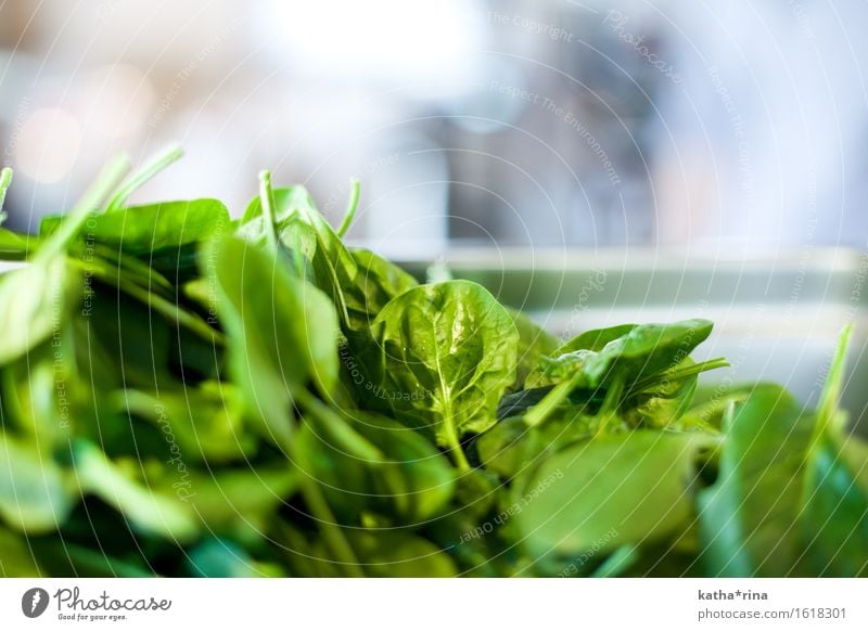 Blatt.Spinat Lebensmittel Gemüse Salat Salatbeilage Spinatblatt frisch Gesundheit grün Farbfoto Innenaufnahme Nahaufnahme Detailaufnahme Menschenleer