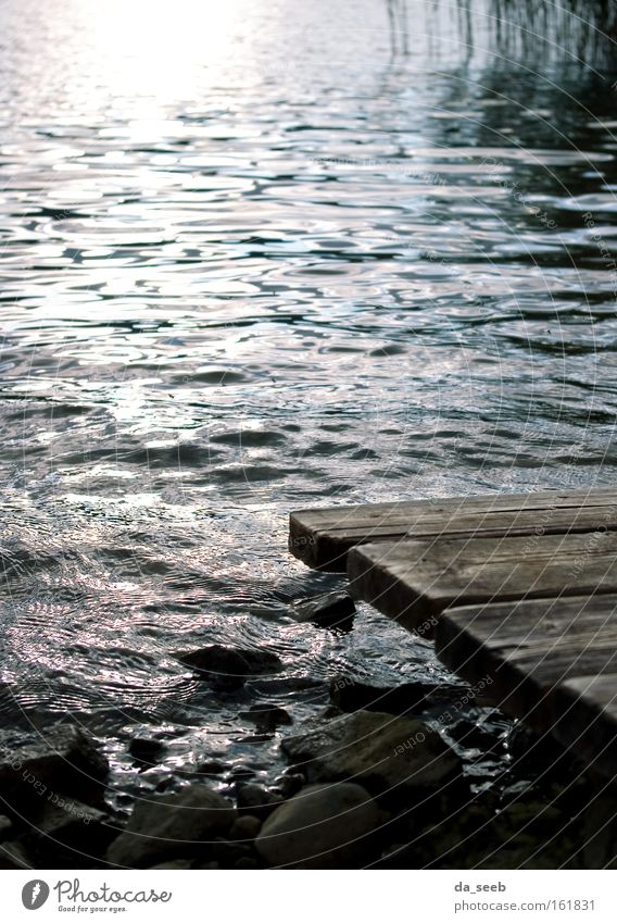 Am See Schwarzweißfoto Außenaufnahme Detailaufnahme Textfreiraum oben Abend Dämmerung Licht Sonnenaufgang Sonnenuntergang Gegenlicht Sommer Strand Wasser