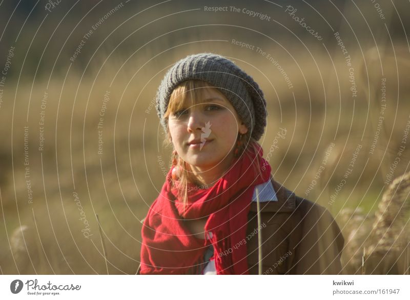 mädchen auf wiese Glück Zufriedenheit Erholung Sommer Frau Erwachsene Landschaft Frühling Wiese Mütze entdecken Stroh Weide Heu Amerika Farbfoto Außenaufnahme