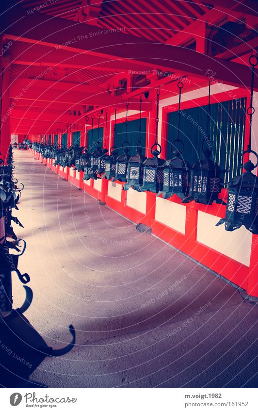 Laternen Tempel Schintoismus Buddhismus Japan Nara Asien rot Holz Gang lang tief Religion & Glaube Wege & Pfade Gotteshäuser Lampion