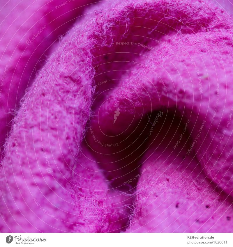 lappen Putztuch rosa Reinigen Wischen Sauberkeit Strukturen & Formen Textilien Stoff Farbfoto Innenaufnahme Nahaufnahme Detailaufnahme Makroaufnahme