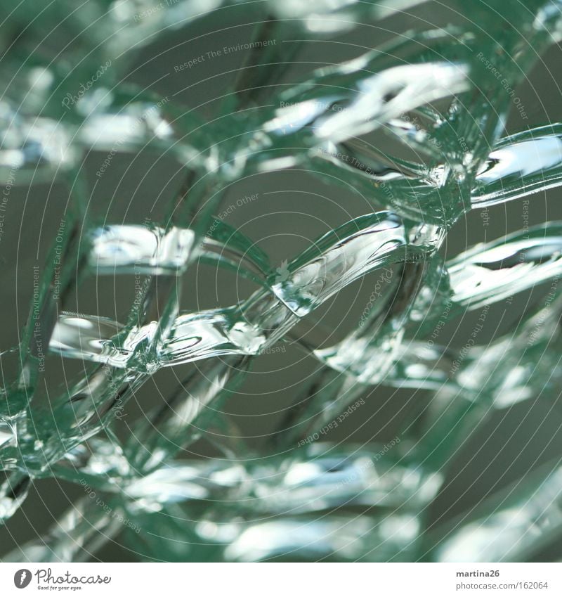 Zellverbund II Farbfoto Nahaufnahme Makroaufnahme abstrakt Strukturen & Formen Reflexion & Spiegelung Fenster Glas kaputt Stress Missgeschick Netzwerk