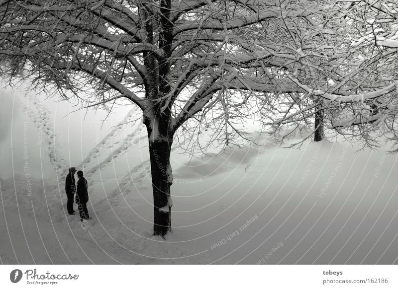 Hier trennt sich unser Weg Winter Schnee Mensch Baum Wege & Pfade laufen kalt Einsamkeit Trennung Schwarzweißfoto