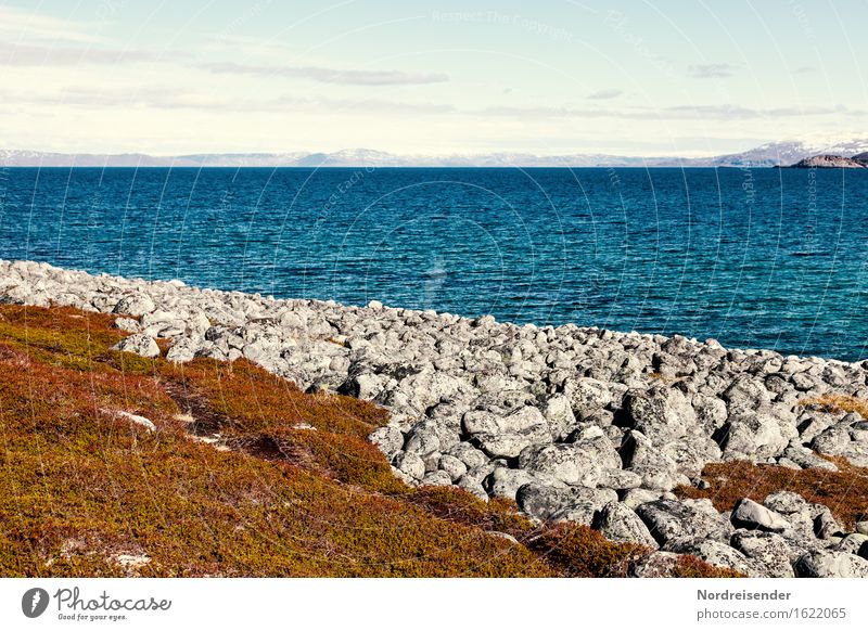 Nordatlantik Ferien & Urlaub & Reisen Tourismus Ferne Freiheit Sommer Meer Natur Landschaft Urelemente Wasser Schönes Wetter Küste Bucht Fjord maritim Fernweh