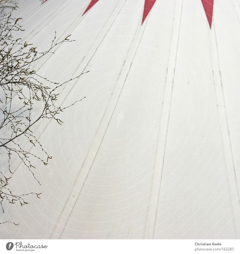 Zirkus Zelt Zirkuszelt Abdeckung weiß rot Bochum Baum Ast schwarz Streifen Dach Architektur Freizeit & Hobby Dinge