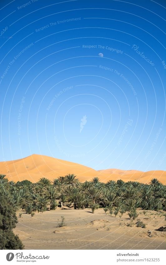 Marokko - Sahara Ferien & Urlaub & Reisen Ausflug Abenteuer Ferne Freiheit Expedition Umwelt Natur Landschaft Sand Himmel Wolkenloser Himmel Nachthimmel