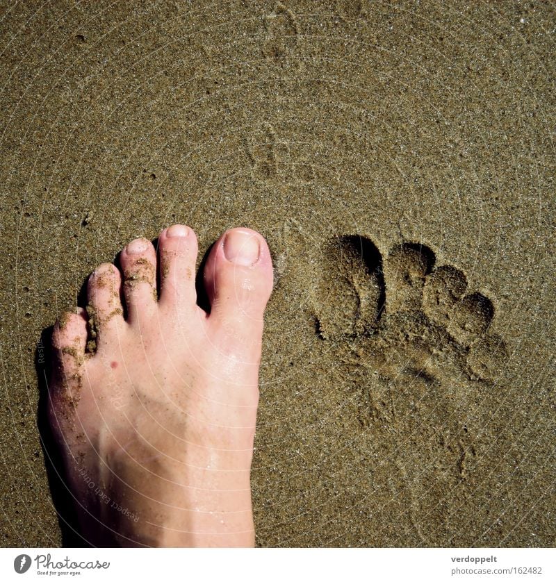 m_4 Meer Mensch Körperteile Fuß Hälfte Leberfleck Zehen Sand Spaziergang laufen Fußspur Schilder & Markierungen nales Korn Schritt Beule Spur Barfuß