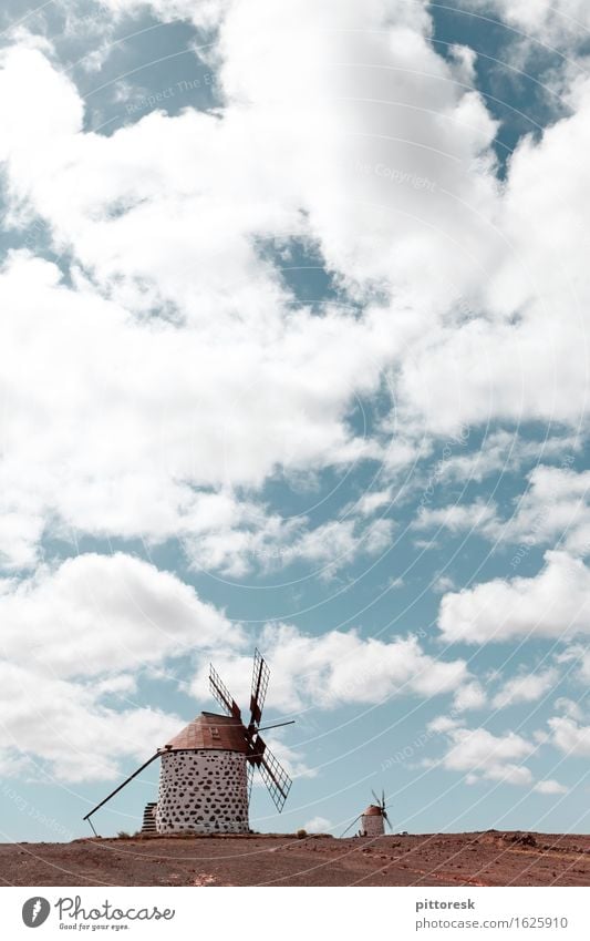 Wind V Umwelt Natur Pflanze Luft ästhetisch Windmühle Wolken Himmel 2 Spanien Windstille Windkraftanlage Idylle Farbfoto mehrfarbig Außenaufnahme Experiment