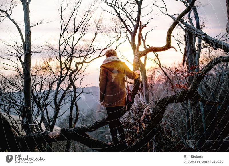 entwurzelt II wandern Klettern Bergsteigen feminin Junge Frau Jugendliche Erwachsene 1 Mensch 18-30 Jahre Umwelt Natur Landschaft Himmel Frühling Schönes Wetter