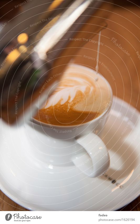 cappuccino Kaffeetrinken Getränk Heißgetränk Milch Cappuccino Tasse Zufriedenheit Duft Häusliches Leben Küche Dienstleistungsgewerbe Feste & Feiern genießen