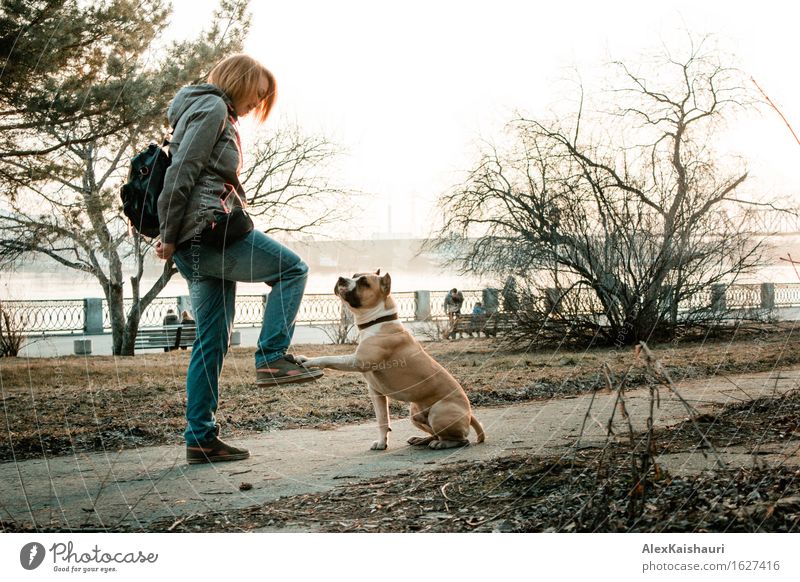 Junge Frau bildet ihren Hund am Abendpark aus. Lifestyle Freude Ferien & Urlaub & Reisen Abenteuer Freiheit Städtereise Sommer Sonne Mensch Erwachsene