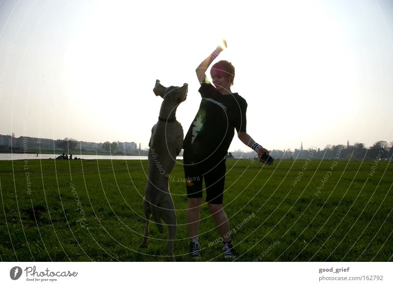 [DD|Apr|09] Lichtfangen Hund Sonne Elbe Dresden Frau Wiese Elbufer Gras springen Freude Fitness Säugetier tia