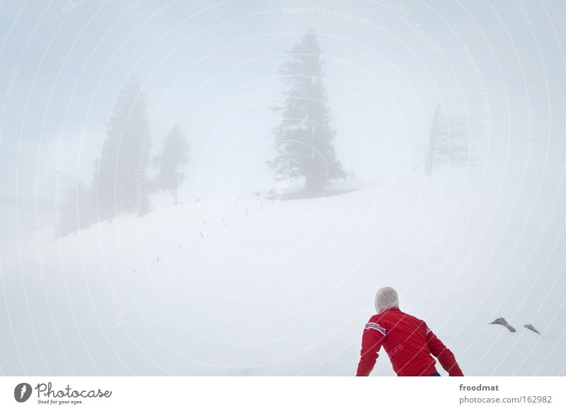 800 - wo geht's lang Nebel Berge u. Gebirge Schweiz Suche Sturm kalt Winter Baum Surrealismus Himmel sehr wenige trist Rücken