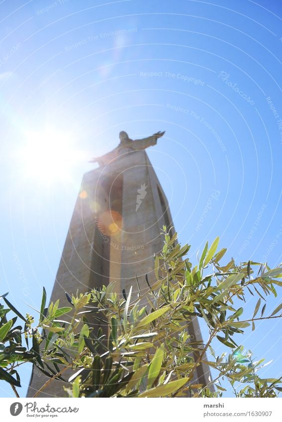 Criso Rei Religion & Glaube Denken Statue Lissabon Jesus Christus Sehenswürdigkeit hoch Höhe Gegenlicht Sonne hell strahlend Olivenbaum Portugal Christentum