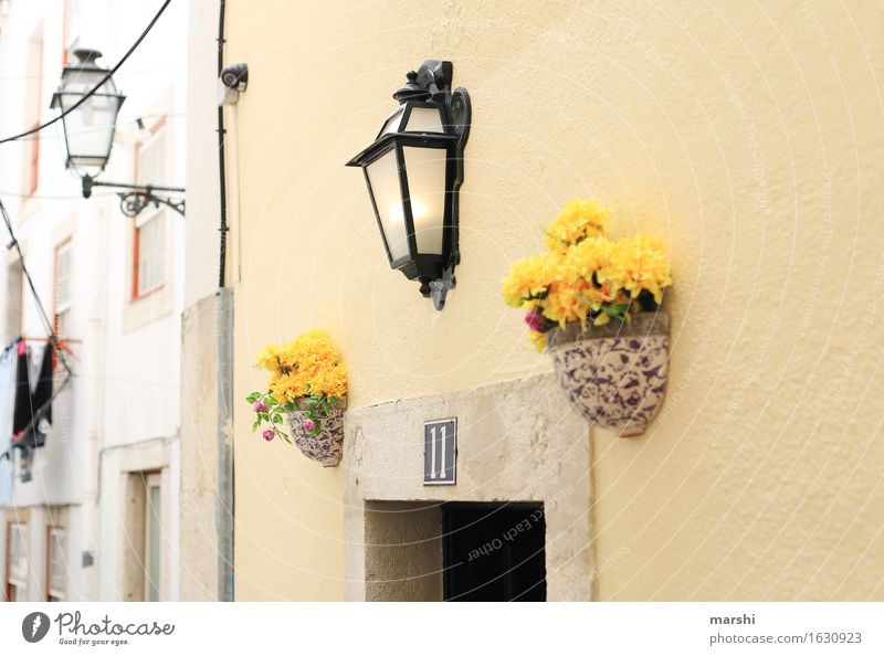 Nummer 11 Dorf Stadt Hauptstadt bevölkert Haus Mauer Wand Fassade Tür Namensschild Briefkasten Gefühle Stimmung Eingang Eingangstür Lampe