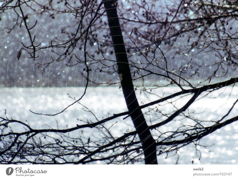 Aprilmorgen Farbfoto Gedeckte Farben Detailaufnahme abstrakt Menschenleer Tag Kontrast Silhouette Gegenlicht Starke Tiefenschärfe Schnee Umwelt Natur Landschaft