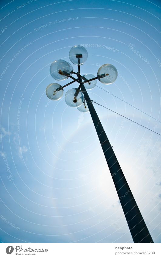 Kugelbaum Laterne Straßenbeleuchtung Außenaufnahme Gegenlicht blau Sonne Flair Fehler Verkehrswege obskur Elektrisches Gerät Technik & Technologie