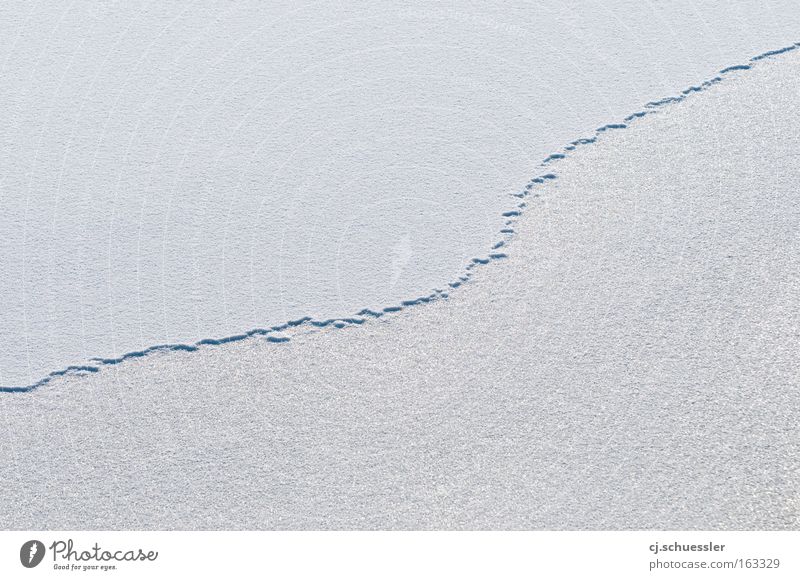 broken line Eis Schnee Raureif Oberfläche Winter kalt Strukturen & Formen Schlucht Grenze weiß ruhig leer gefroren Urelemente friedlich