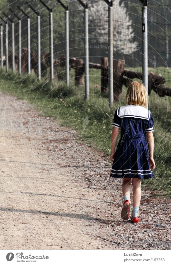 Walk the Line Angst Einsamkeit Mädchen Zaun Schatten Traurigkeit Schwäche Trauer Verzweiflung Kind Matrosenkleid