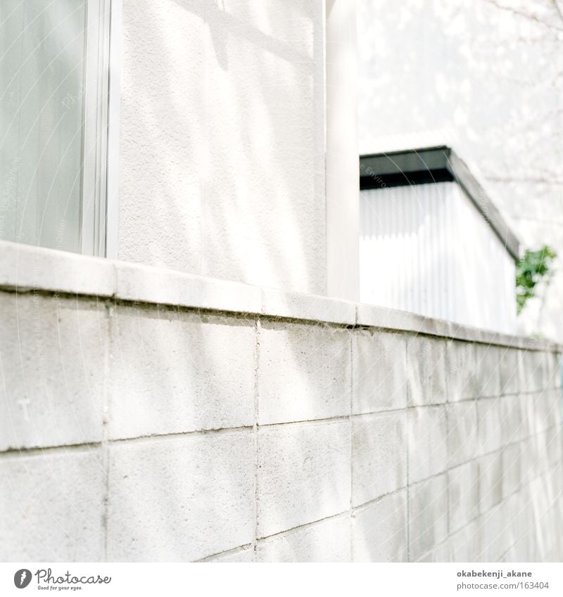 albino #5 Tokyo Schererei Quadrat Filmindustrie Licht Luft Japan Stimmungsbild weiß bleich