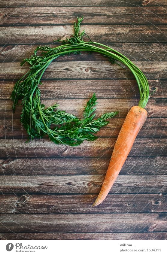 möhrchen Möhre Gemüse Lebensmittel Bioprodukte Vegetarische Ernährung Gesunde Ernährung Gesundheit Möhrenkraut Rohkost Diät Farbfoto Innenaufnahme