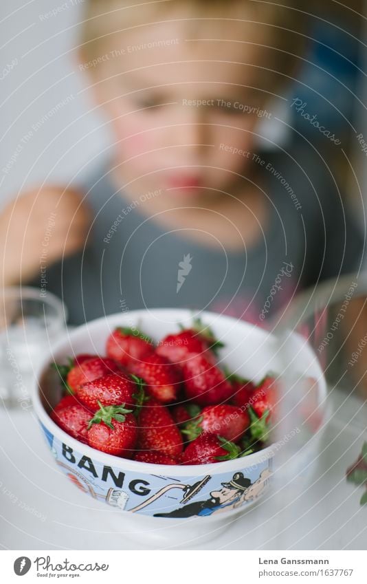 Bang! Erdbeeren! Frucht Bioprodukte Vegetarische Ernährung Fingerfood Schalen & Schüsseln Gesundheit Gesunde Ernährung Sommer Sommerurlaub Kleinkind Junge 1