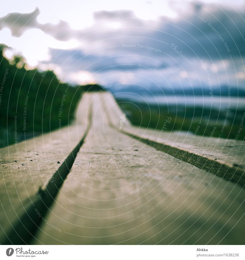 Auf dem Holzweg wandern Wege & Pfade braun Abenteuer anstrengen Startrampe aufstrebend Farbfoto Außenaufnahme Nahaufnahme Menschenleer Textfreiraum unten