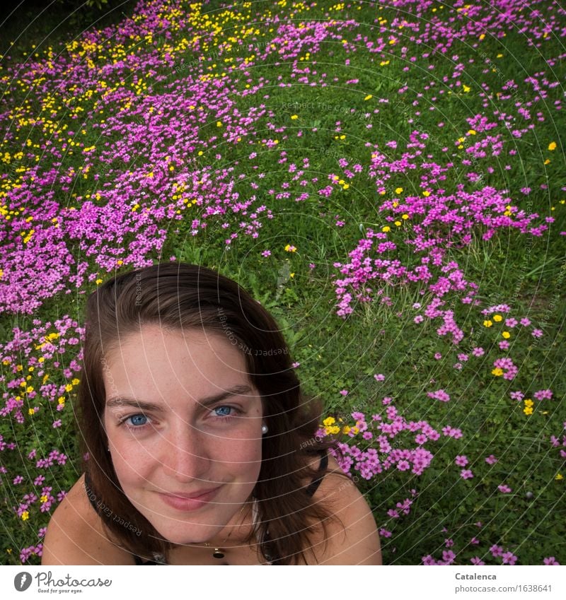 Blumenwiese und eine lächelndes Gesicht feminin Junge Frau Jugendliche Kopf 1 Mensch 18-30 Jahre Erwachsene Natur Pflanze Blüte Kleeblüte Blühend Lächeln